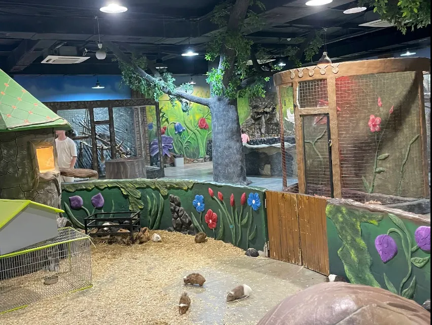 ბატუმი მოლი