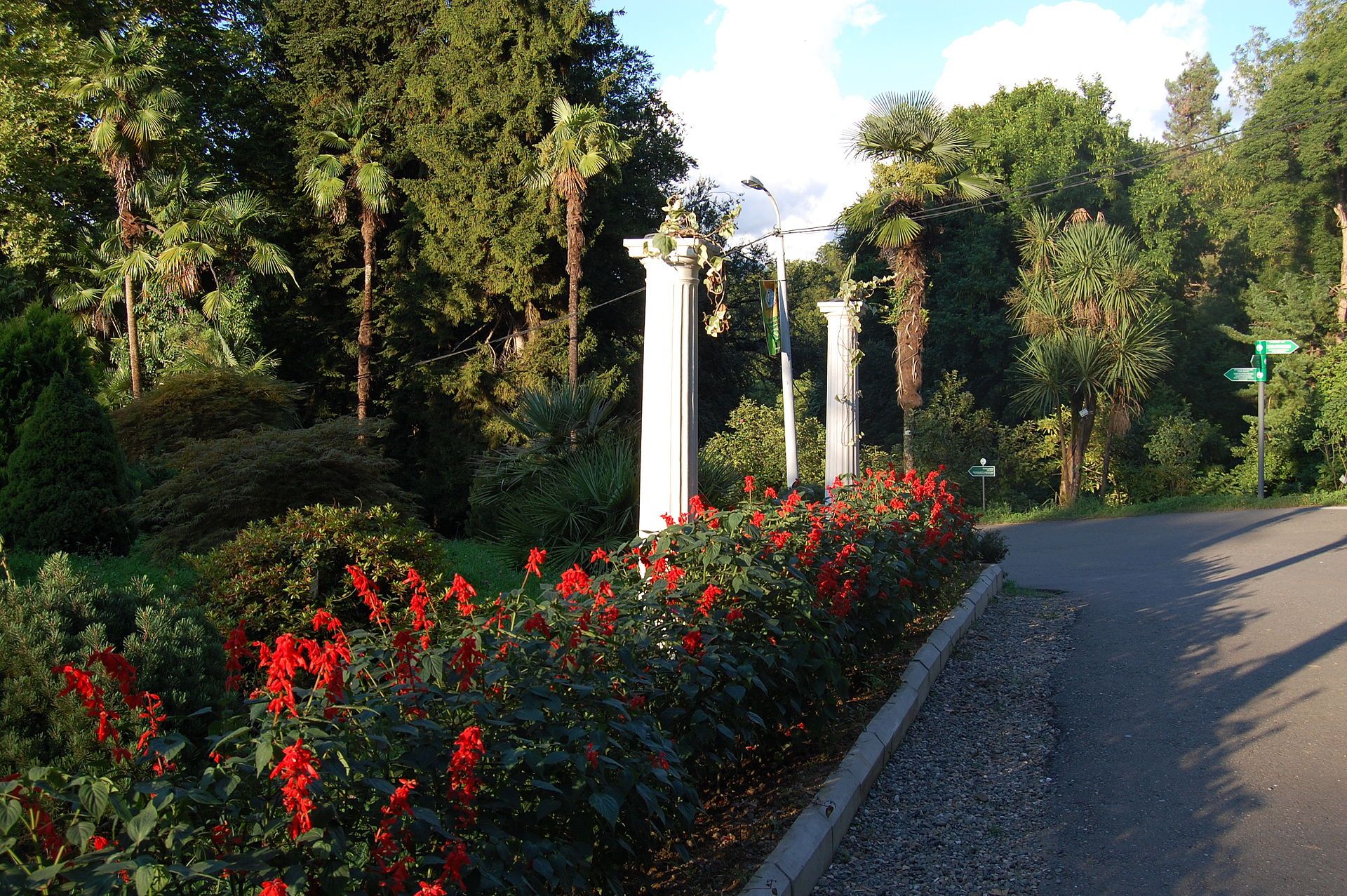 Batumi Botanical Garden