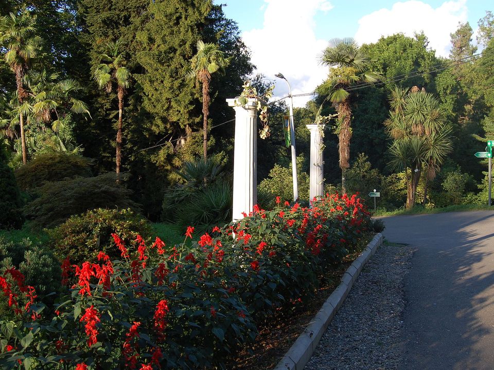 Batumi Botanical Garden